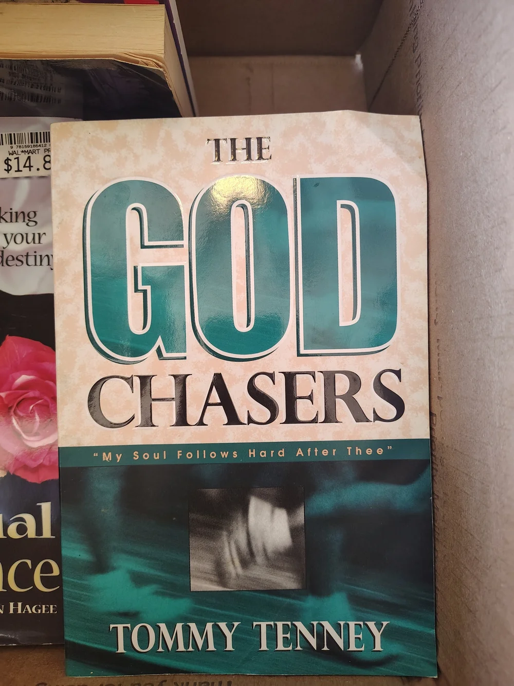 The God Chasers Book - Teal and Cream Cover